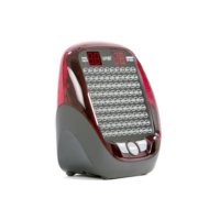 Wingo 4 Bingo Machine