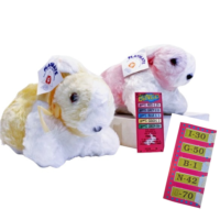 Bunny Bingo Break Open Tickets